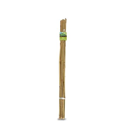 garden stakes bunnings|Brunnings 900mm Bamboo Garden Stakes .